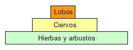 capturada ciervos.jpg